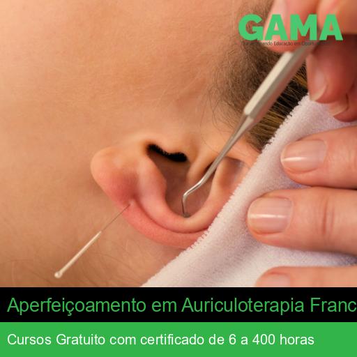 Aperfeiçoamento em Auriculoterapia Francesa